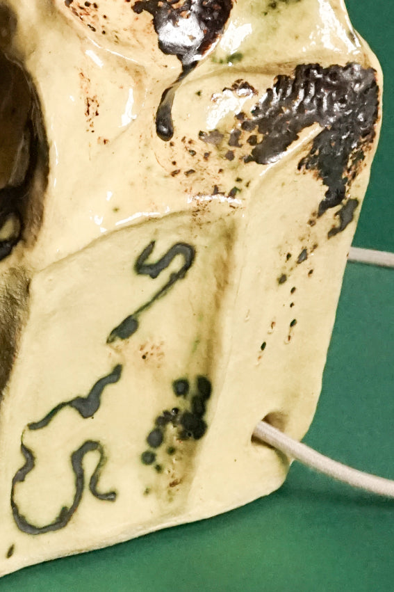 Iona McVean ÀIRD BHEAG & TAMNA SIAR