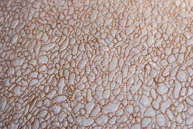 Jasmine Linington seaweed cushions