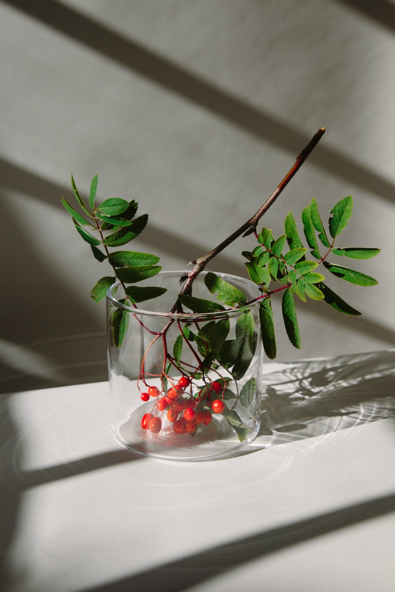 ALT=Cylindrical clear glass vase filled with a branch of scottish red berries and green leaves.