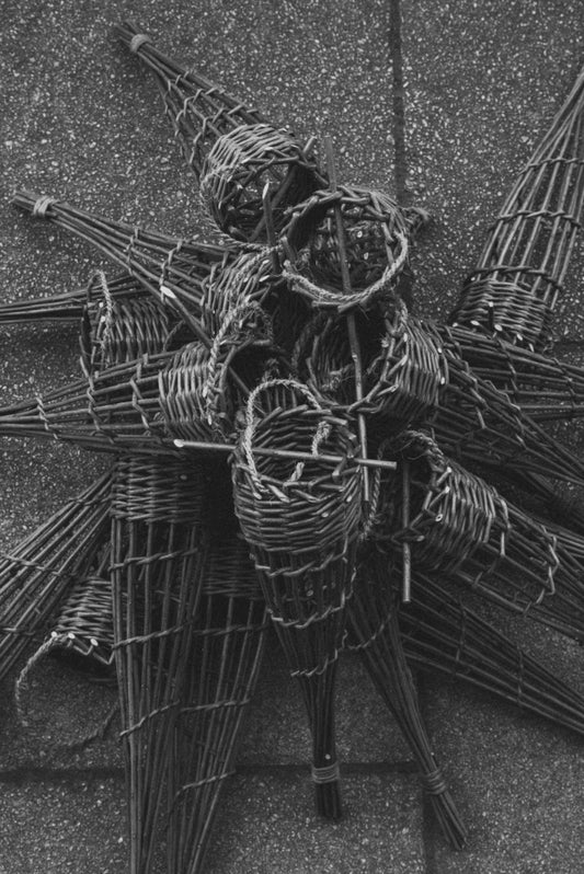 All about Willow Bard-feeder