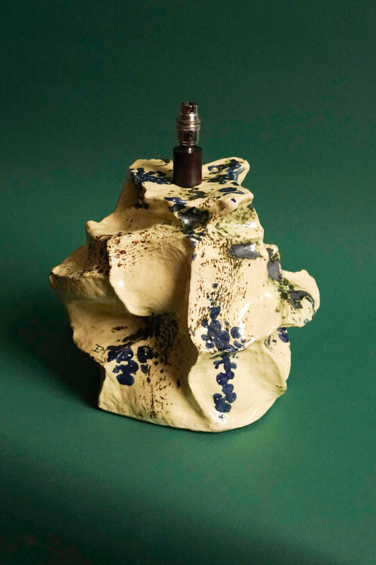 Iona McVean TAMNA MHOR