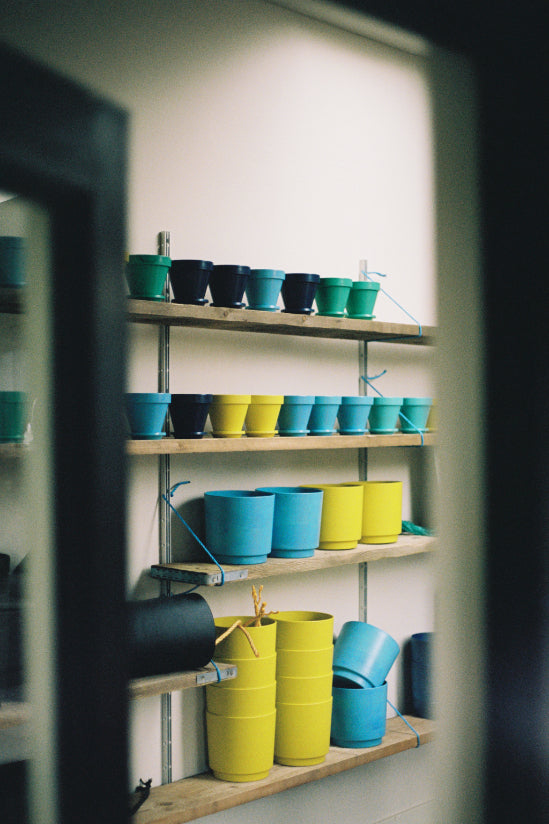 ALT=A peak through the door at Boath House for the Bard Scotland retail residency. Shelves filled with Ocean Plastic pots ocean waste plastic plant pots.
