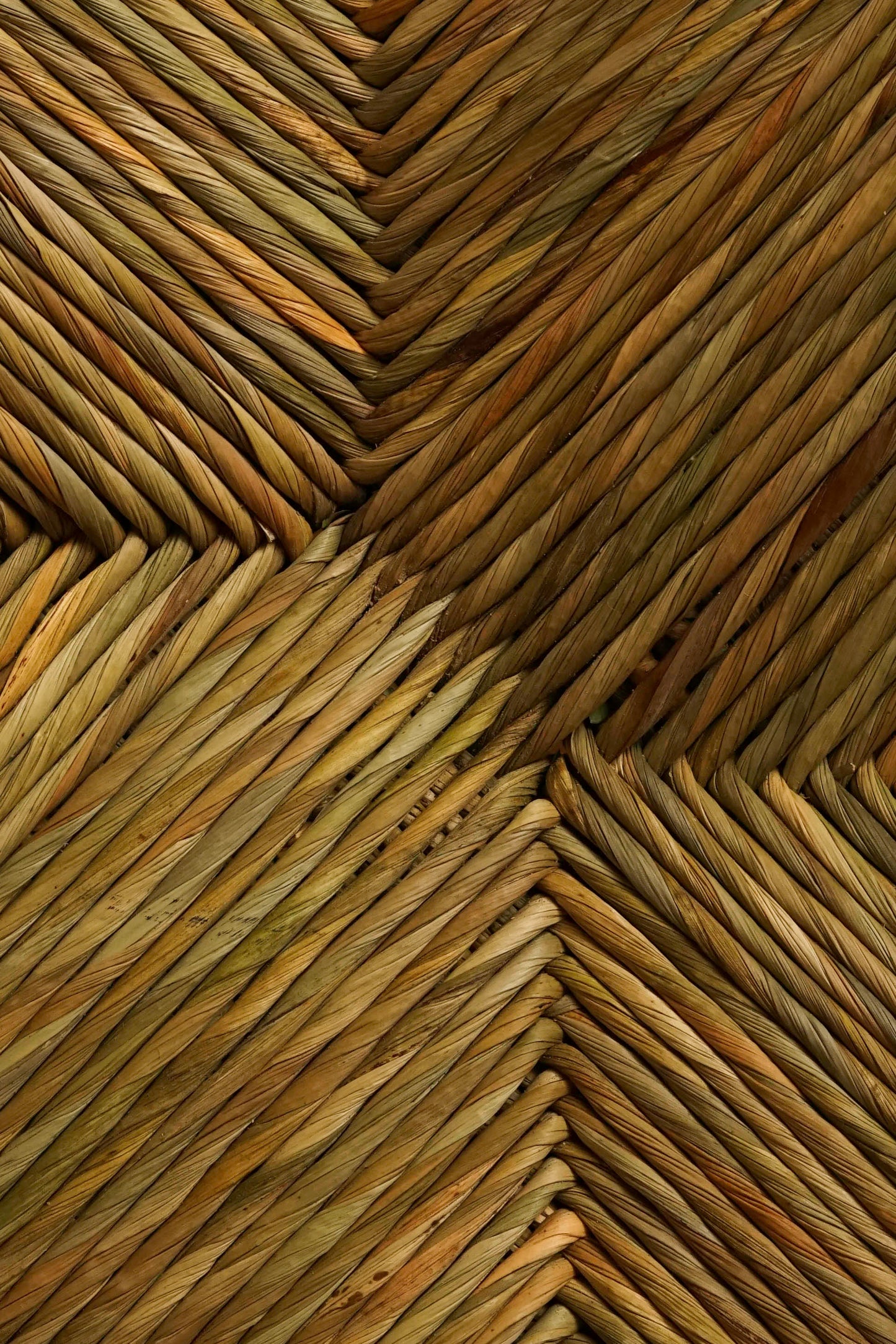 The Marchmont Workshop The Canopy chair