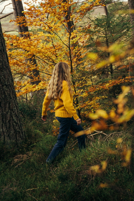 Shetland Woollen Co Lupetto Neck jumpers