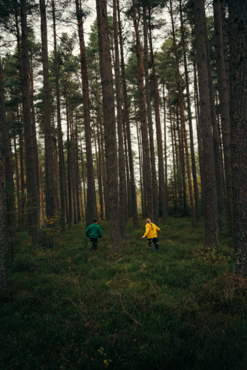 Shetland Woollen Co Lupetto Neck jumpers